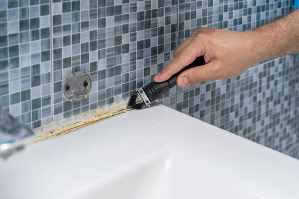 Mold Removal Process in Loma, CO